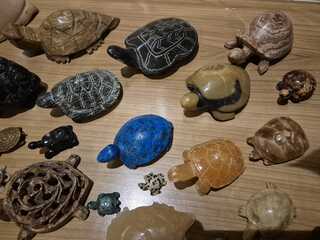 Schildpadden verzameling van steen